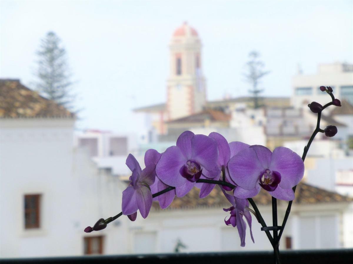 Apartamento Centrico Y Luminoso Estepona Exterior foto